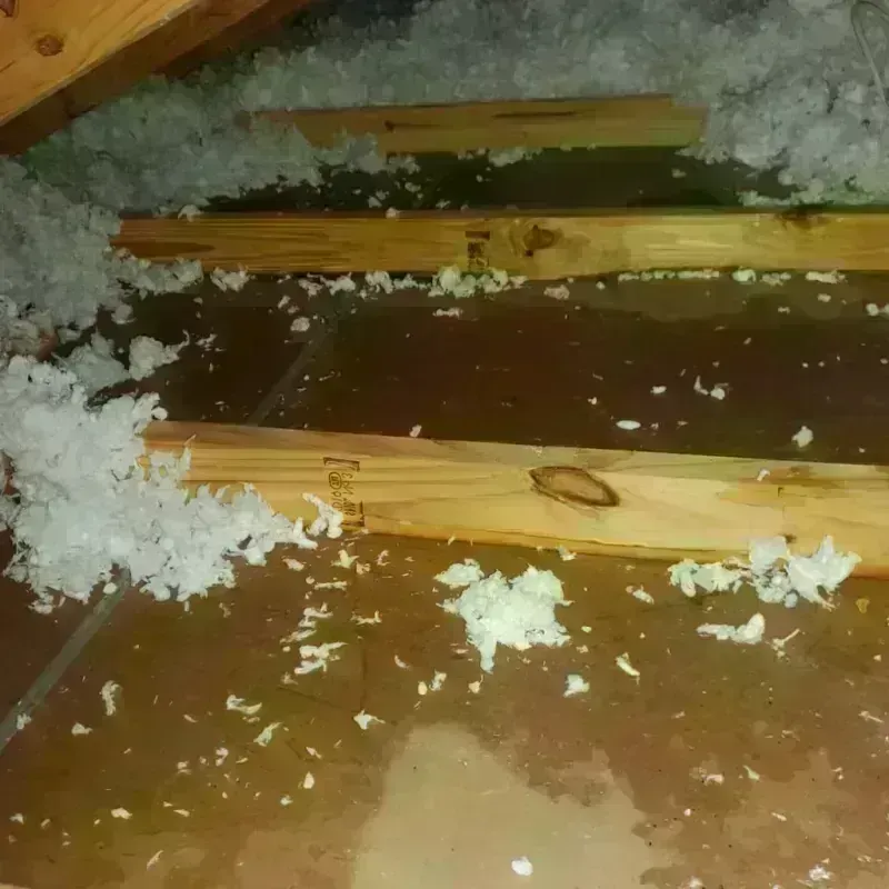 Attic Water Damage in Brodhead, WI